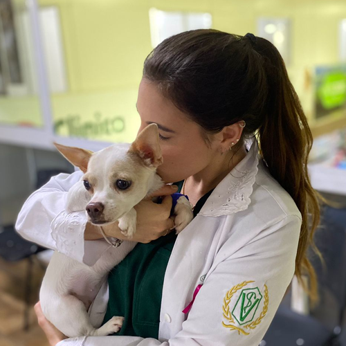 Ana Laura | Médica-Veterinária